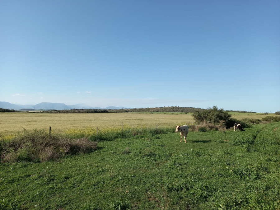  Bedroom Property for Sale in Riversdale Rural Western Cape
